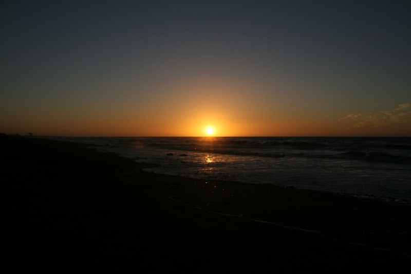 Nieuw-Zeeland 2011 - 1369